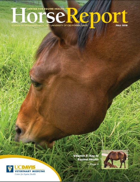 Cover image of Fall 2018 Horse Report