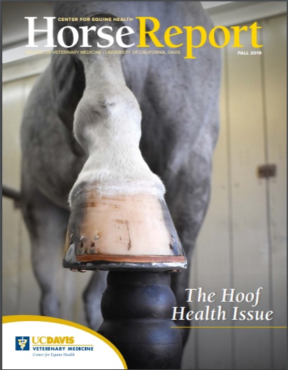 Cover image of Fall 2019 Horse Report