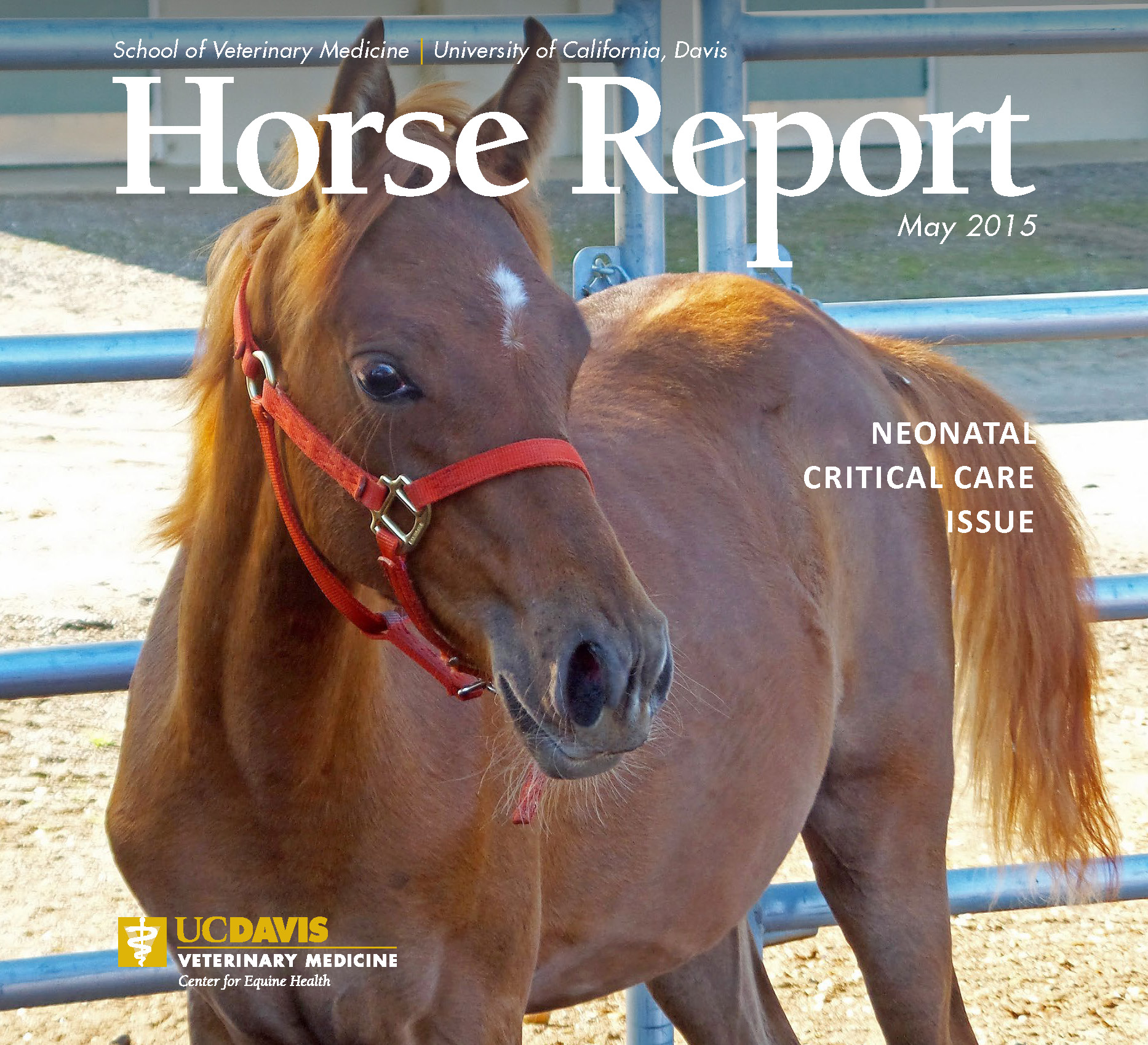 Horse Report - May 2015 Cover