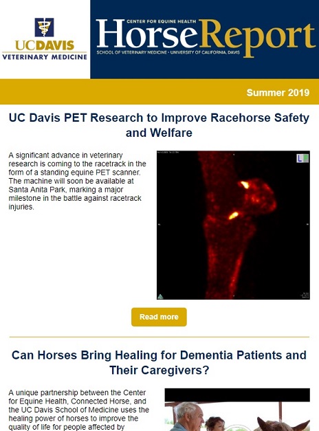 Cover image of Summer 2019 Horse Report