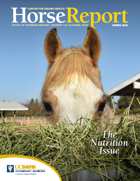 Cover Spring 2020 Horse Report