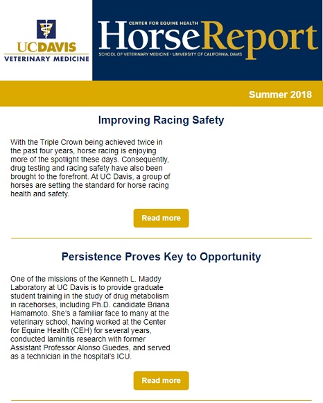 Cover image of Summer 2018 Horse Report