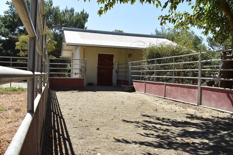 quarantine stall and run