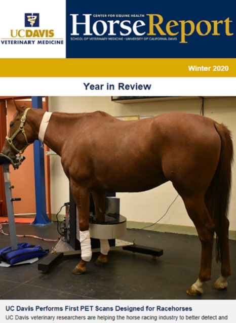 Cover image of Winter 2020 Horse Report