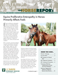 Horse Report