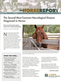 Horse Report