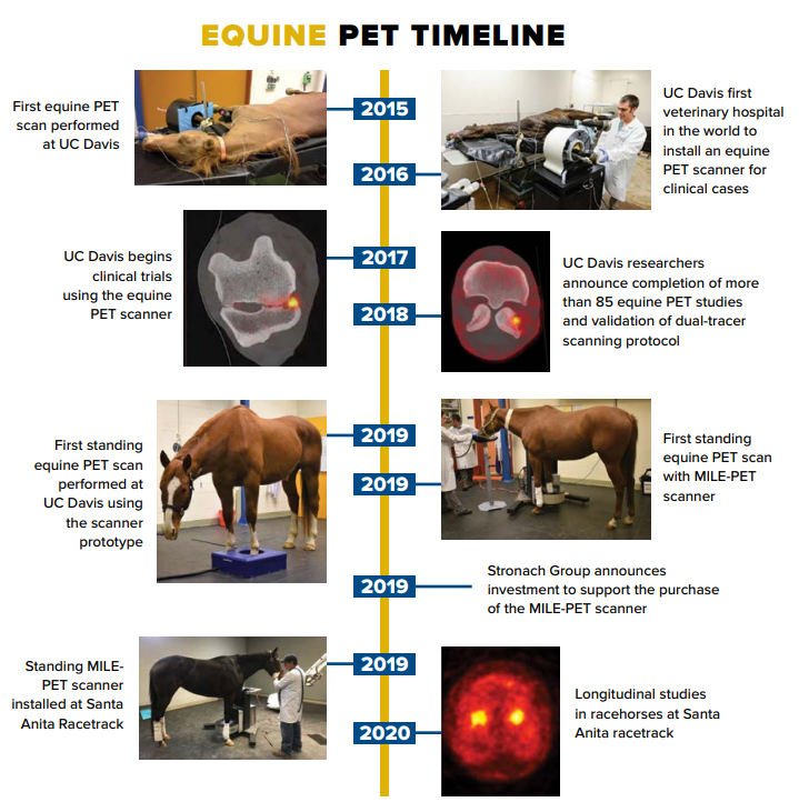 Timeline of Equine PET milestones with relevant images from 2015 to 2020