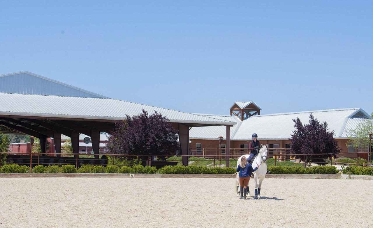 School of Veterinary Medicine UC Davis Center for Equine Health Templeton Farms