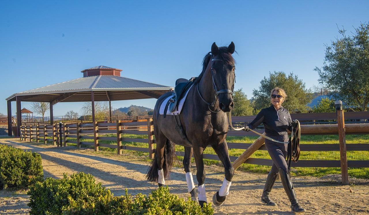 School of Veterinary Medicine UC Davis Center for Equine Health Templeton Farms