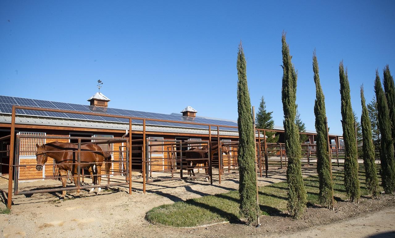 School of Veterinary Medicine UC Davis Center for Equine Health Templeton Farms