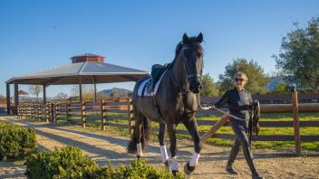 Templeton Farms