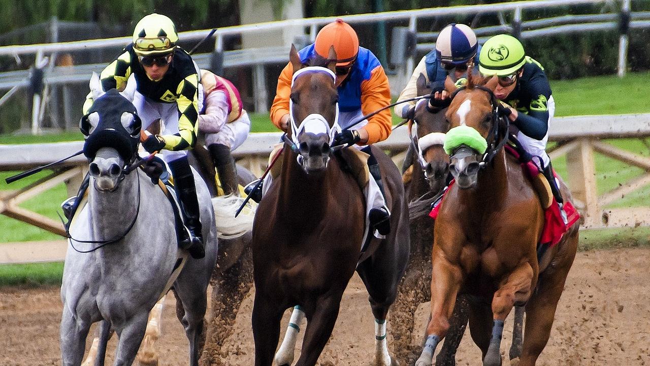 horses racing