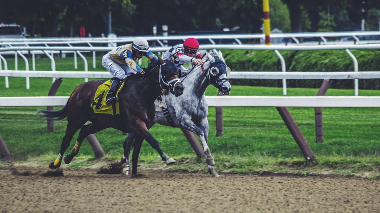 two horses racing
