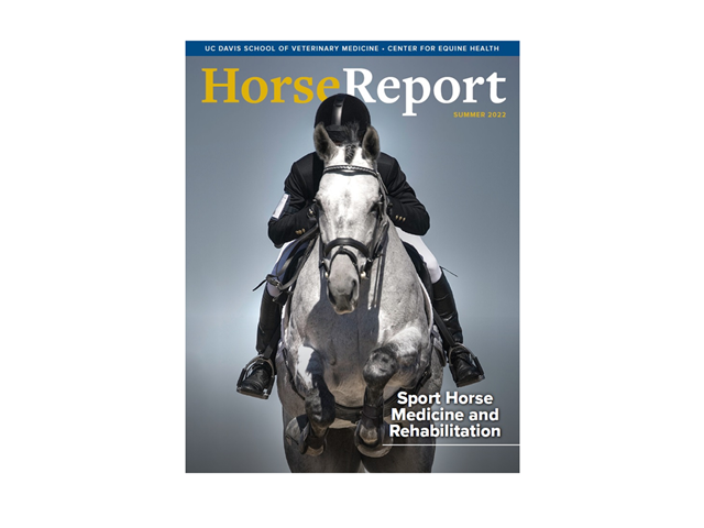 grey horse jumping - cover of summer 2022 Horse Report