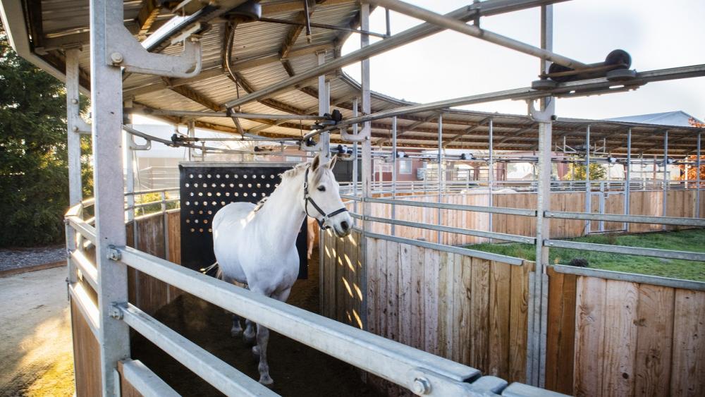 School of Veterinary Medicine CEM Quarantine