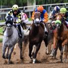 horses racing