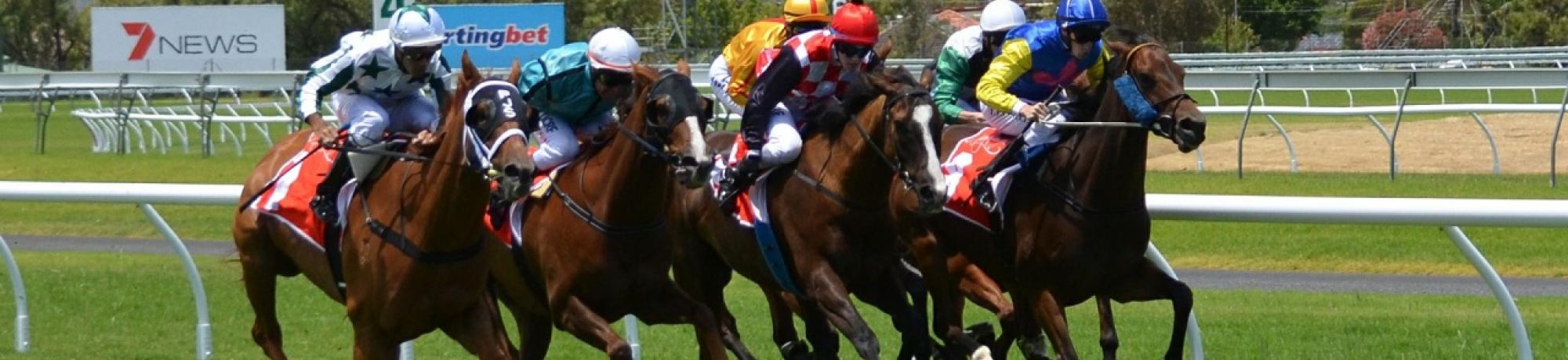 Horses racing