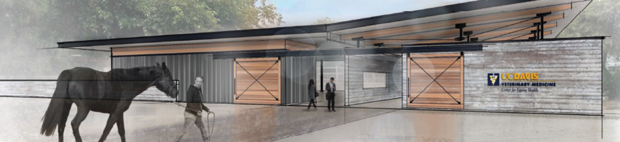 Illustration of UC Davis Equine Rehabilitation Center